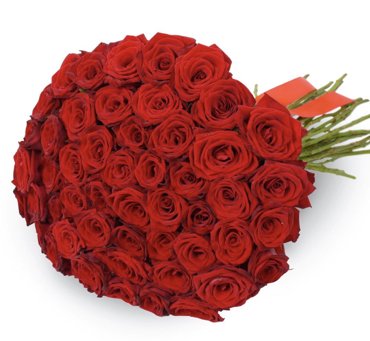 Bouquet of 51 Red Roses