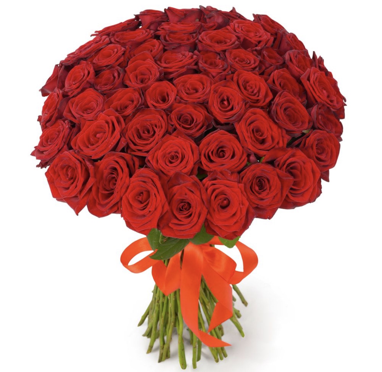 Bouquet of 51 Red Roses