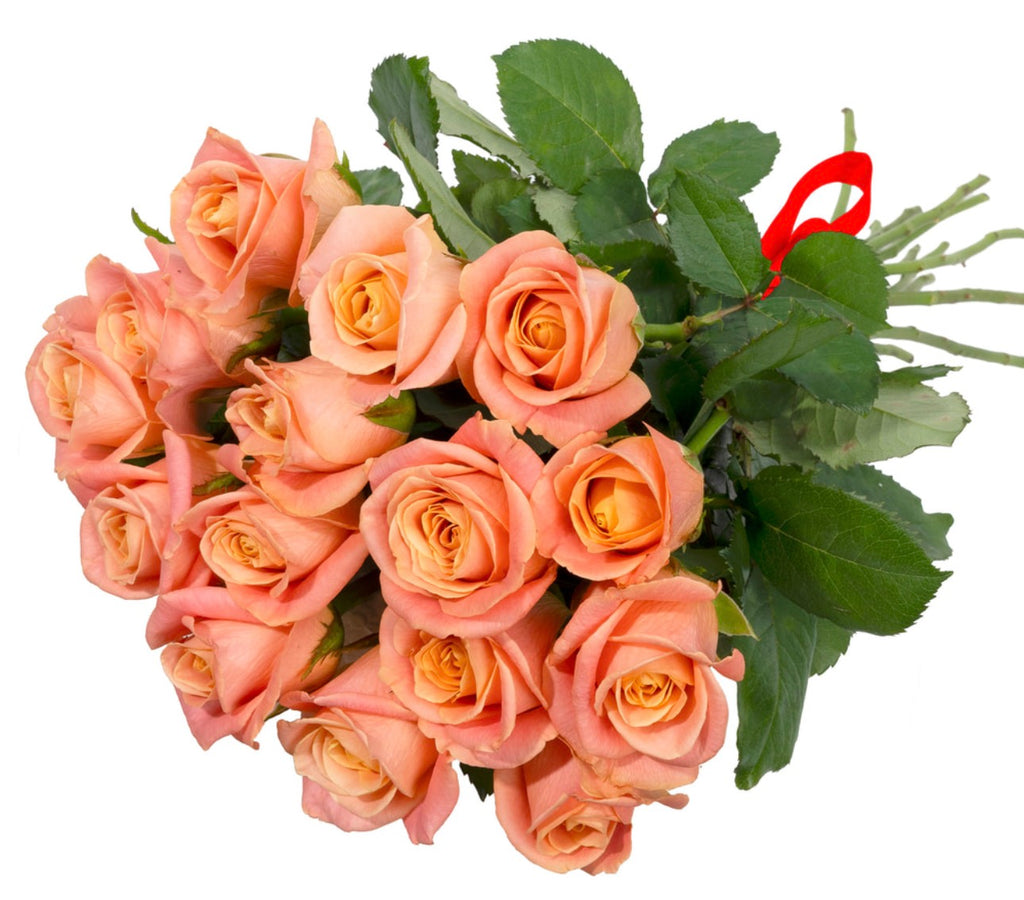 Coral Romance Bouquet – 15 Coral Roses