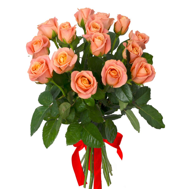 Coral Romance Bouquet – 15 Coral Roses