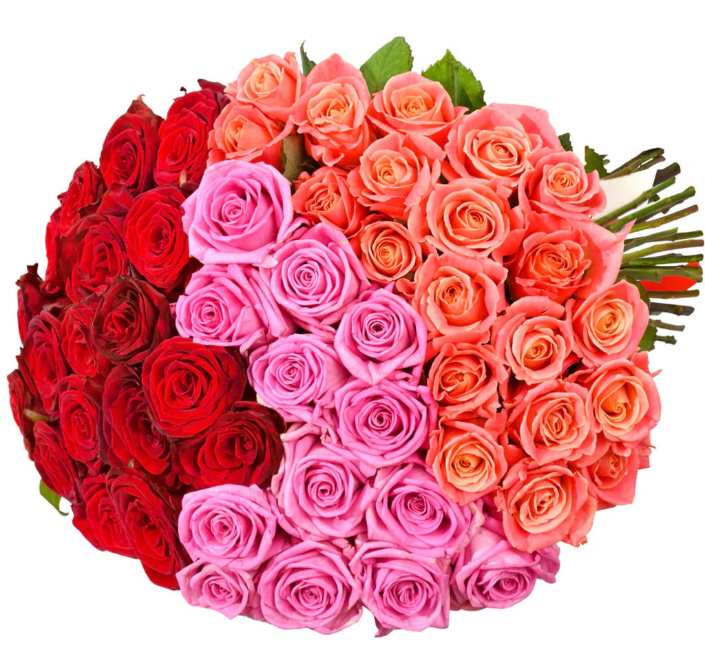 Empire of Beauty Bouquet – Red, Pink & Coral Roses