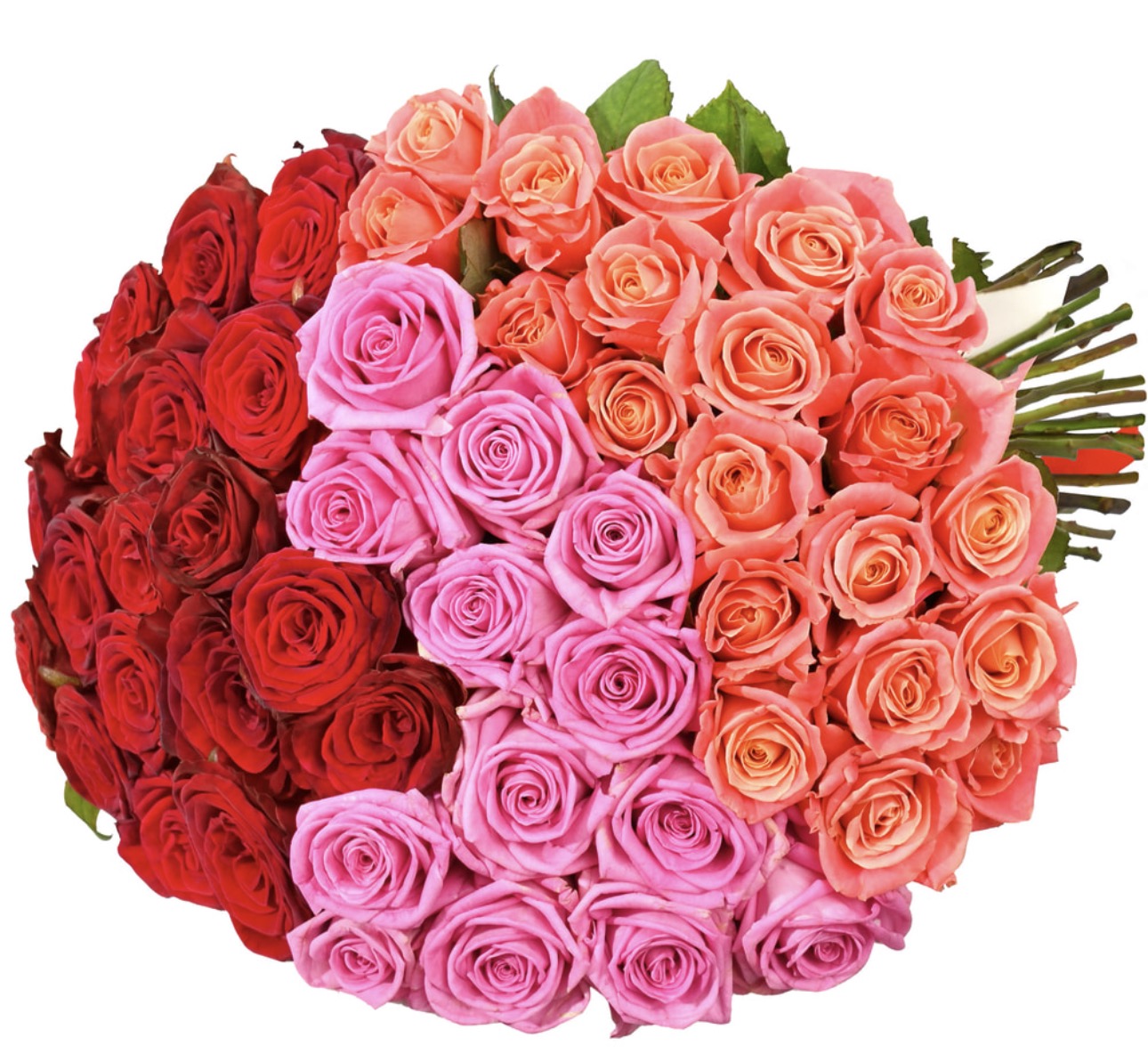 Empire of Beauty Bouquet – Red, Pink & Coral Roses