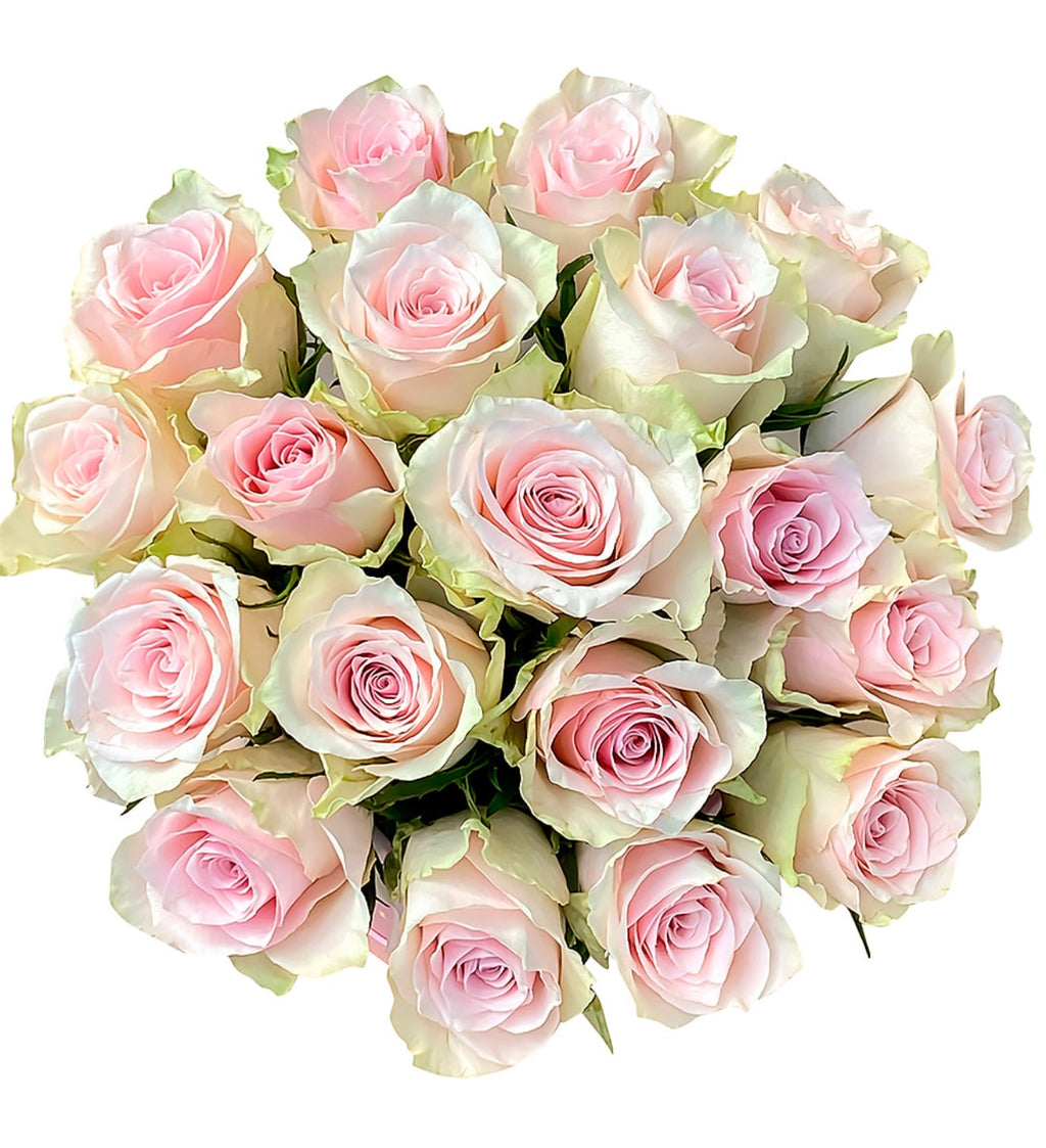 Flowers in a Box – 19 Pink Athena Roses