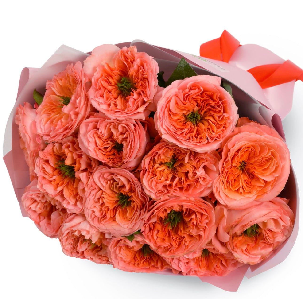 Mandarin Expression Mono Bouquet – 15 Roses