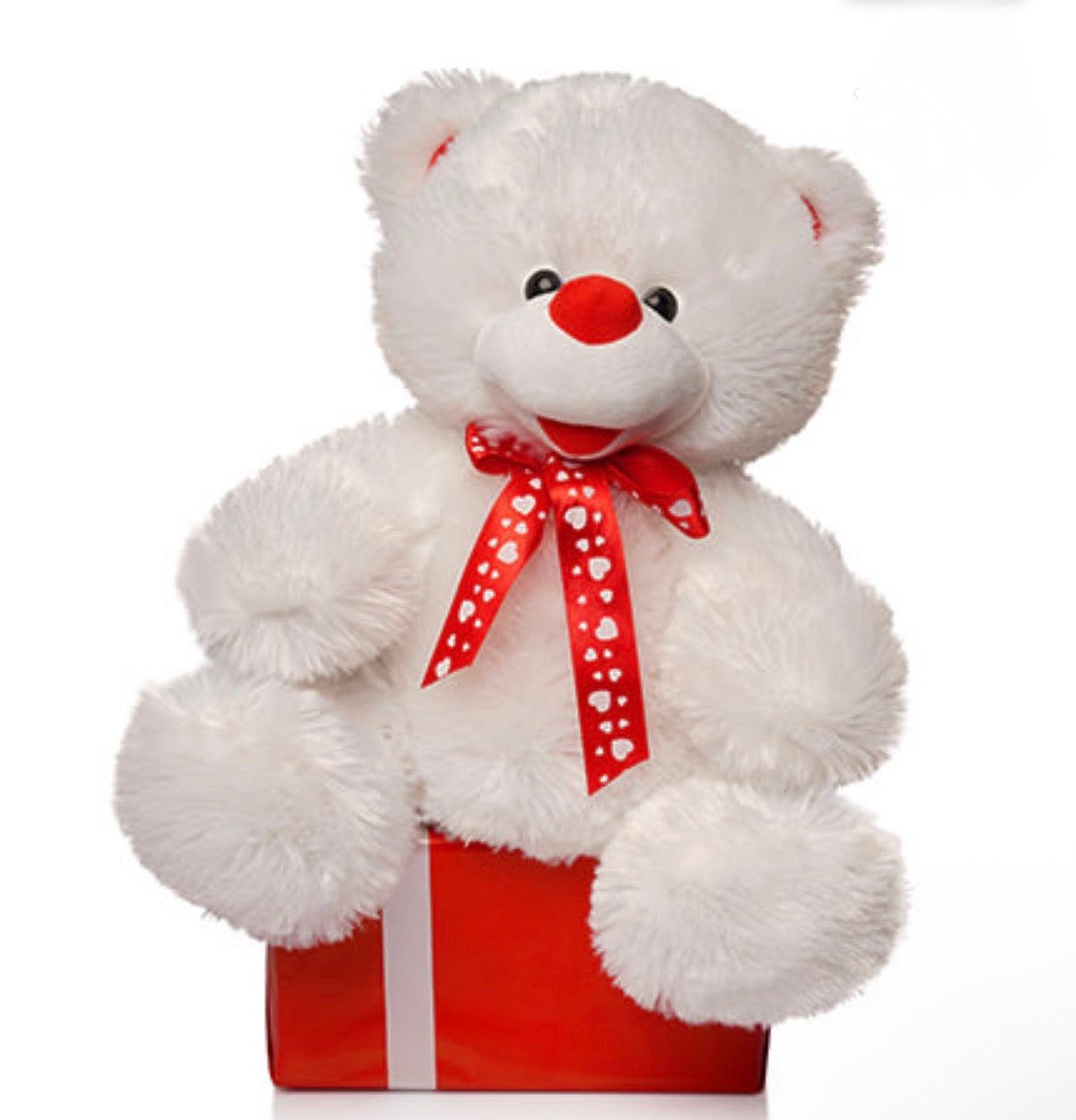 White Teddy Bear 30 cm
